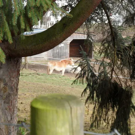 Oekologische Ferienanlage Heringsdorf  Esterno foto